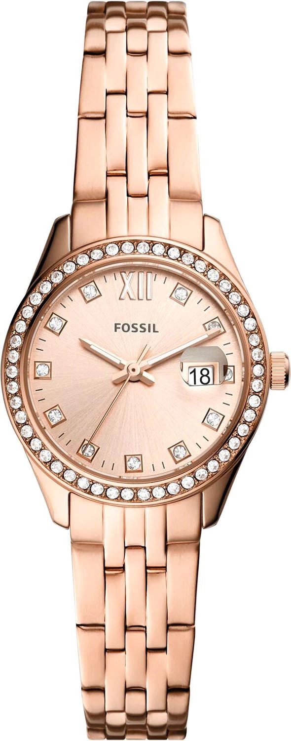 ES5038 Fossil